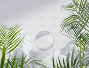 白色讲台与棕榈叶和岩石Blend项目源文件