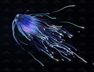 有触手的病毒Blend模型