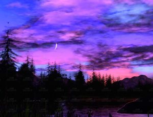 夜晚氛围树林Blend项目源文件