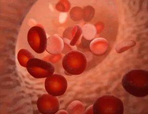 静脉与血细胞Blend项目源文件