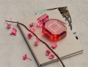 维多利亚的秘密场景Blend项目源文件