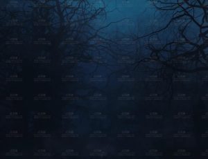 神秘森林中的道路Blend项目源文件