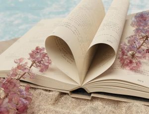 书与花场景Blend项目源文件