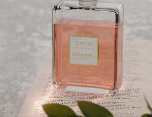 植物和纸张产品Blend项目源文件