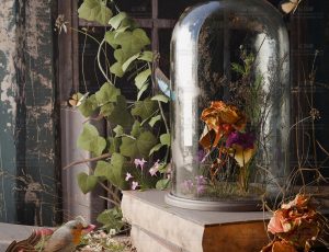 魔法师窗台静物场景Blend工程源文件