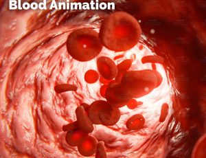 血管红细胞流动动画Blend工程源文件