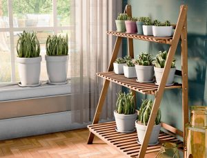 绿盆角室内场景Blend工程源文件