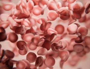 显微血液Blend工程源文件