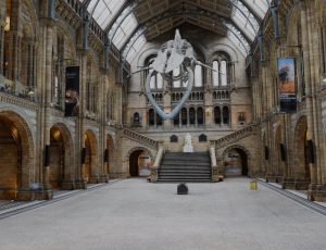 古老大型恐龙博物馆Blender工程源文件