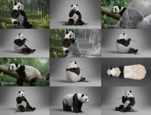 电影级影视特效VFX超写实大熊猫Blendr模型