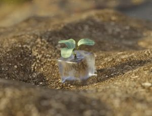 冰块生长植物场景Blend工程源文件