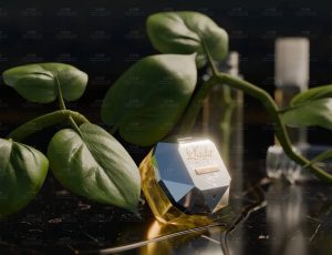 贵妇百万香水场景Blend工程源文件Blend工程源文件