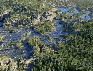 大型森林湖泊Blend工程源文件