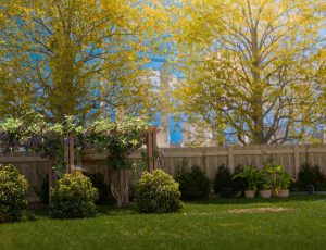 唯美后花园场景Blend工程源文件