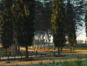 郊区林中道路场景Blend工程源文件