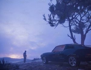 晨曦的自然户外场景Blend工程源文件