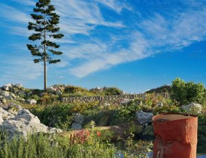 野外孤树自然场景Blend工程源文件