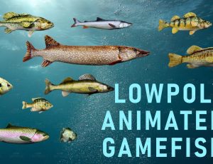 淡水鱼动画模型包Blend资产库