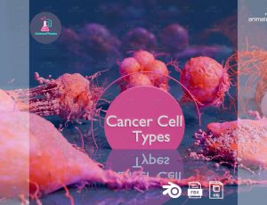 分裂病毒细胞Blend模型