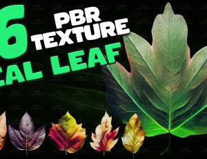 96张4K树叶贴图包