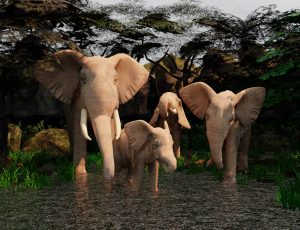 大象保护区Blend工程源文件