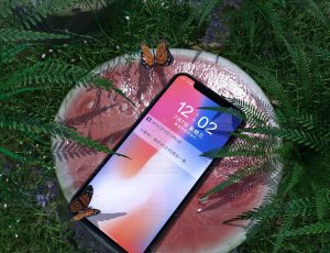 小暑场景C4D工程源文件