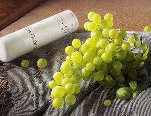 大葡萄喷雾场景C4D工程源文件