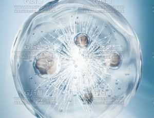 二裂酵母细胞渲染场景C4D工程源文件