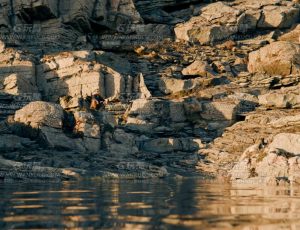 挪威海岸线岩石场景Blend工程源文件