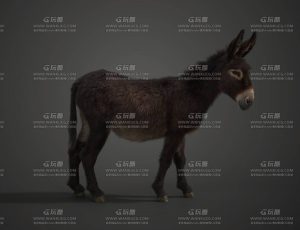 电影级VFX动画高精度毛驴Blend模型