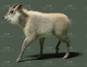电影级VFX动画高精度山羊Blend模型