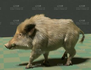电影级VFX动画高精度野猪Blend模型