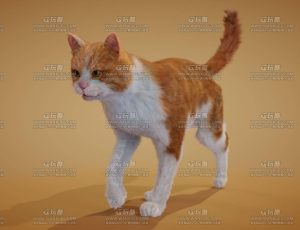 橙白色小猫带动画Blend模型