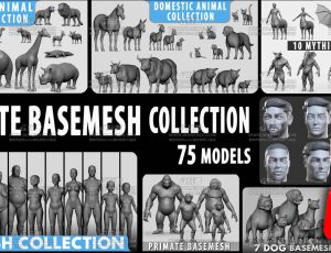 人物动物怪物基础模型包Blend资产库