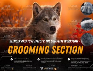 Blender全流程创建电影级动物狼毛发篇