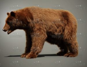 大棕熊黑熊狗熊Blend模型