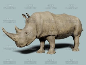 带动画的高精度犀牛Blend模型