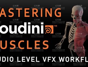 深入学习Houdini20.5肌肉系统模拟动画大师课