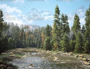 UE5素材—森林环境