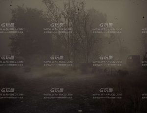 UE5素材—迷雾沼泽