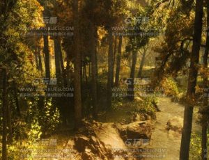 秋季树林C4D工程源文件