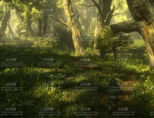 丛林树林环境场景C4D工程源文件