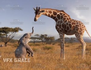 电影级VFX动画高精度长颈鹿Blend模型