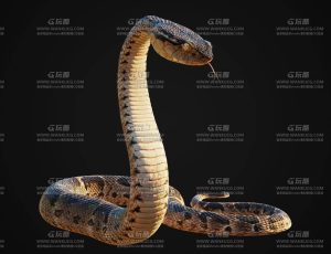 电影级VFX高精度眼镜蛇毒蛇Blend模型