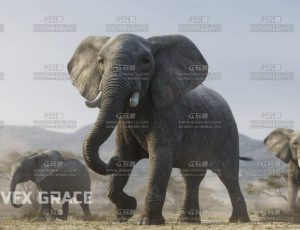 电影级VFX动画高精度非洲草原大象Blend模型