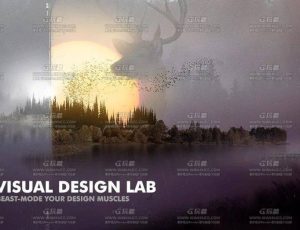 设计视觉培训训练大师课程