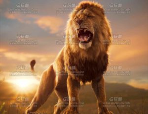 电影级VFX动画高精度非洲雄狮子Blend模型