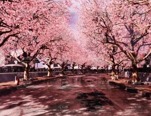 浪漫日本动漫樱花街道Blend工程源文件