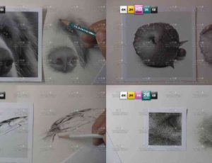 超写实素描案例大师课程