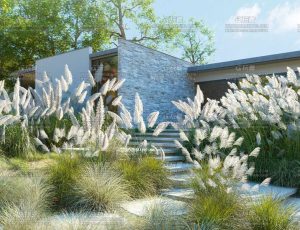 Maxtree植物模型包139 Blend资产库